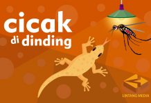cicak di dinding lintang media