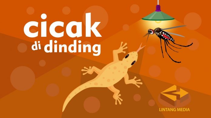 cicak di dinding lintang media