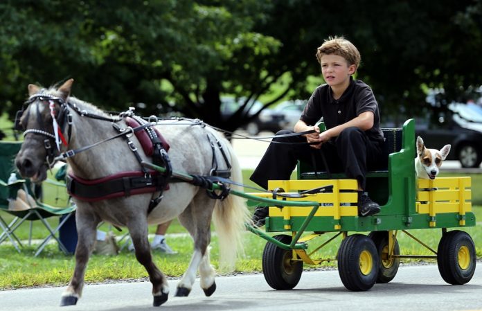 Boy and his dog. Taken during Kidron bicentennial parade naik delman