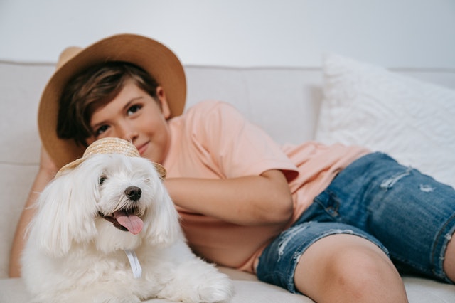 a young boy enjoy his time with cute pupy with short